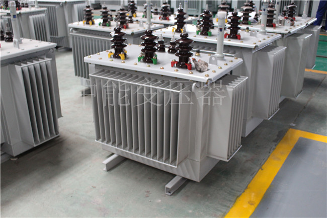 渭南S22-100KVA/10KV/0.4KV变压器
